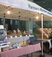 青山 Farmer's Market